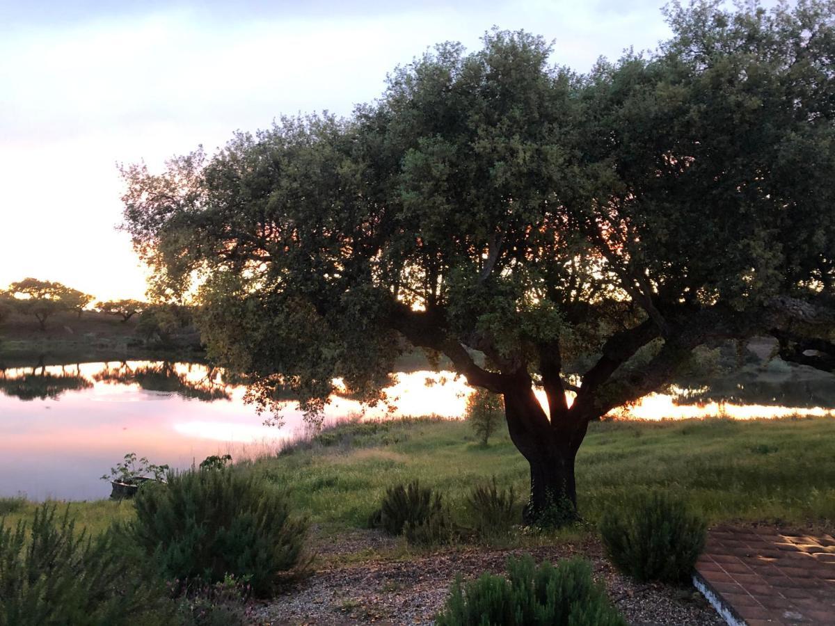 Fontes - A Essencia Do Alentejo Com Lago Privado Redondo Exterior photo